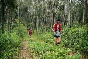 BIB: 
                            <button type="button" onclick="openModal(26293116)" class="btn btn-primary btn-sm float-right btn-popup" data-toggle="modal" data-target=".modal-high-quality">
                        <i class="fas fa-shopping-cart"></i> Add to Cart
                    </button>
                                            <button type="button" onclick="isThisMe(26293116, true)" class="btn btn-success btn-sm float-right btn-popup btn-isme hidden" data-toggle="tooltip" data-placement="bottom" title="นี่คือรูปของคุณใช่ไหม คลิกที่นี่เพื่อเอาเข้าอัลบั้ม">
                        <i class="fas fa-plus"></i> Add to album
                    </button>
                    <button type="button" onclick="isThisMe(26293116, false)" class="btn btn-warning btn-sm float-right btn-popup btn-isnotme hidden">
                        <i class="fas fa-ban"></i> Remove from album
                    </button>